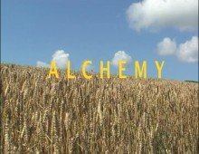 Alchemy – The poetics of bread